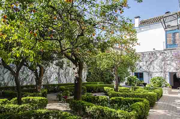 Córdoba 259 - palacio de Viana - patio de los Naranjos.jpg